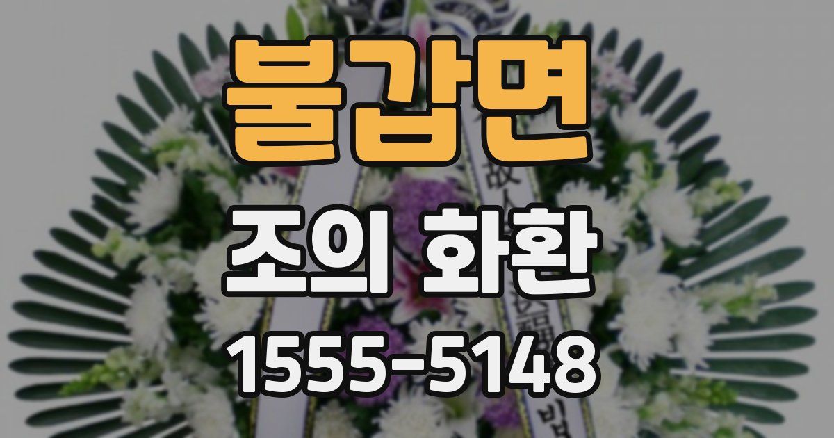 불갑면 조의 화환