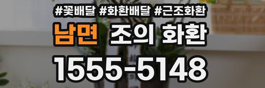 남면 조의 화환
