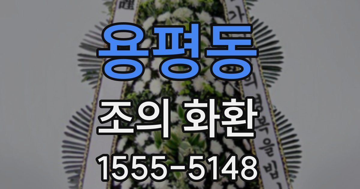 용평동 조의 화환