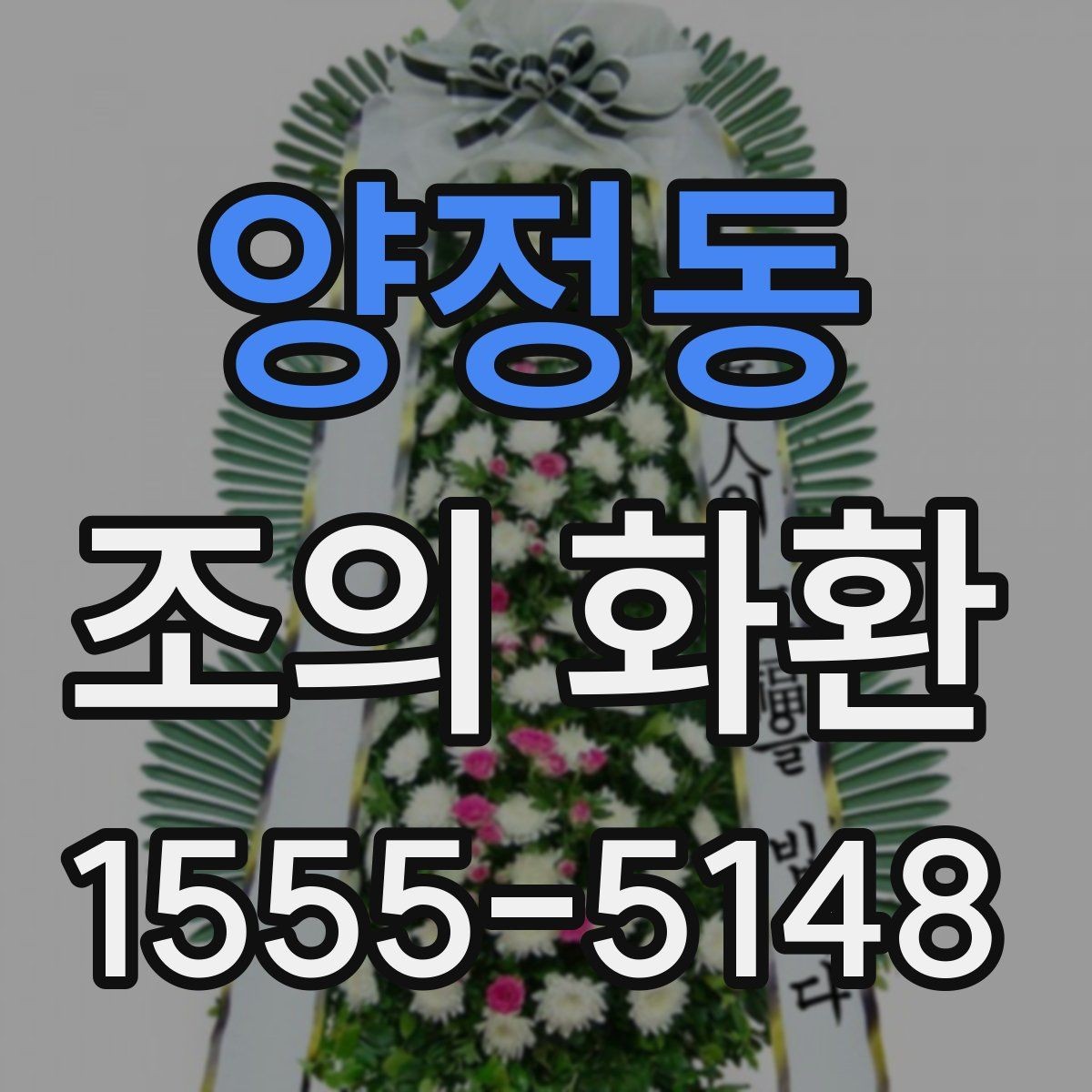 양정동 조의 화환 장소별 배송 기준 비교