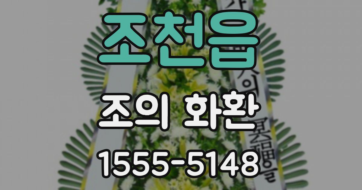 조천읍 조의 화환