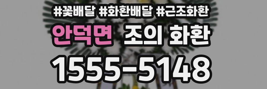안덕면 조의 화환