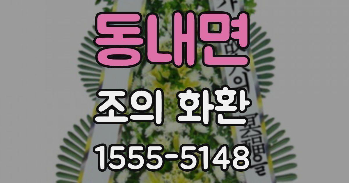 동내면 조의 화환