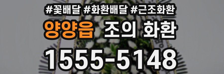 양양읍 조의 화환