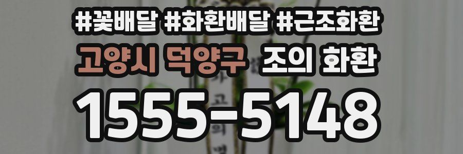 고양시 덕양구 조의 화환