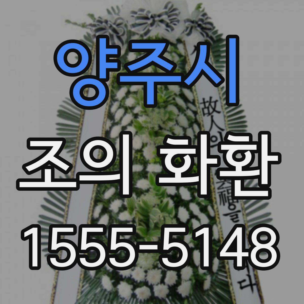 양주시 조의 화환