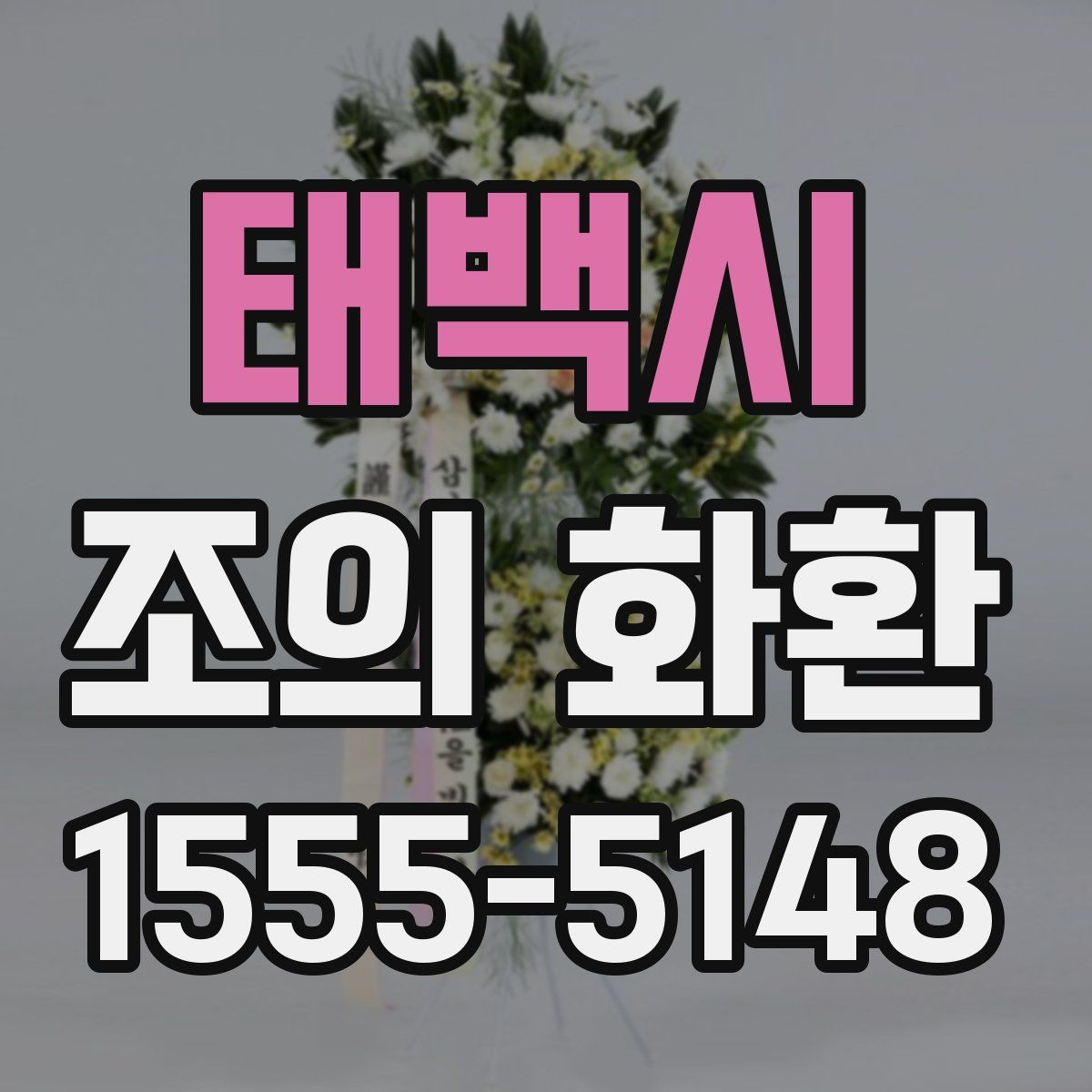 태백시 조의 화환
