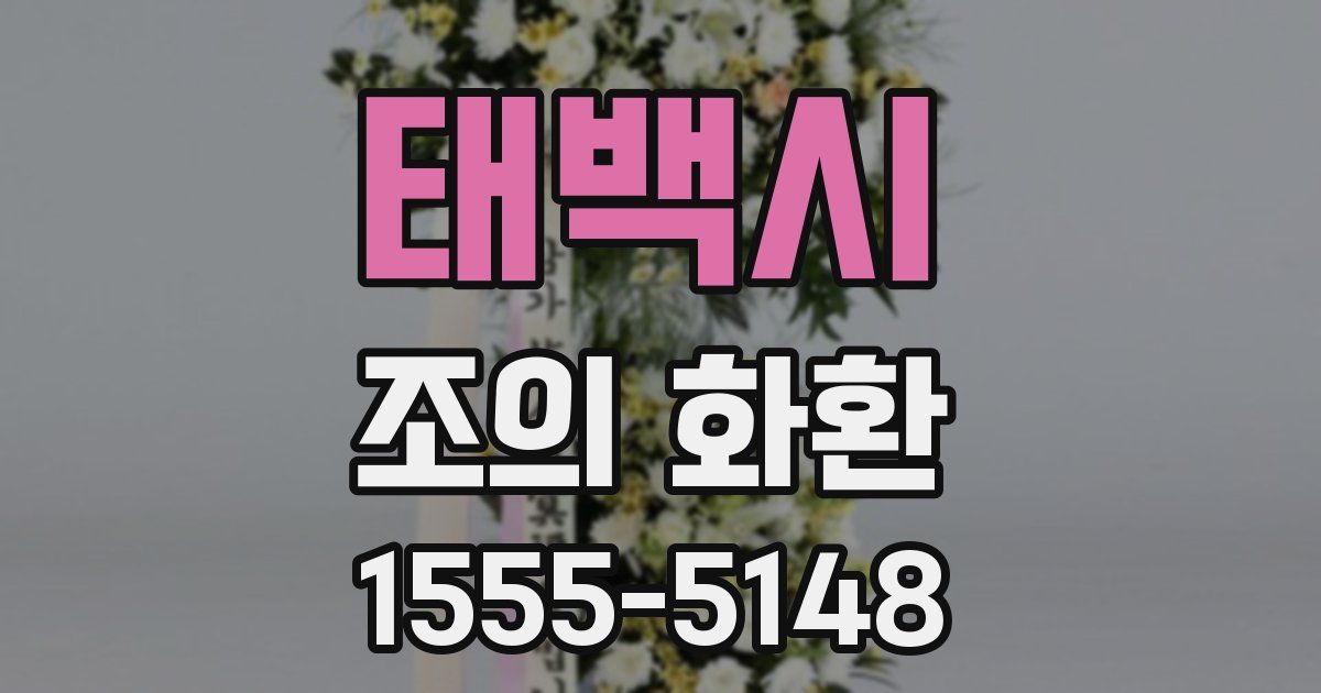 태백시 조의 화환