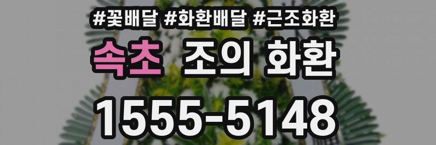 속초 조의 화환