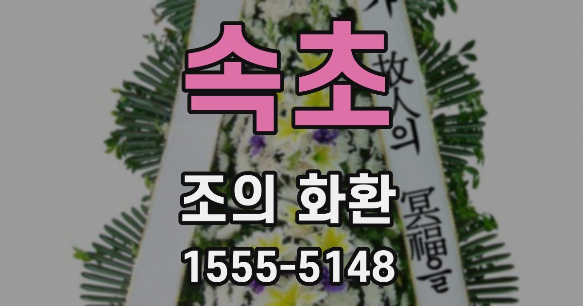 속초 조의 화환