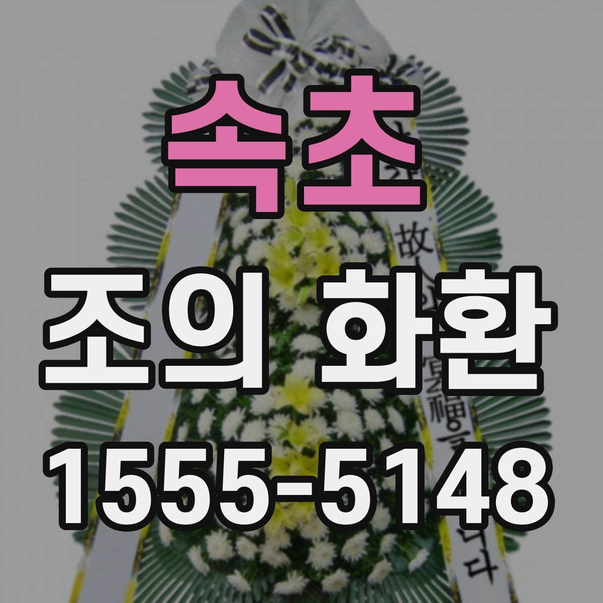 속초 조의 화환
