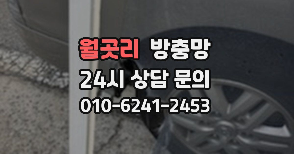 월곳리 방충망