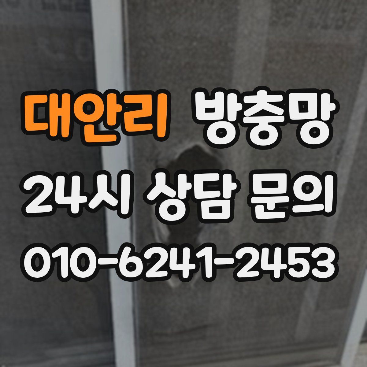 대안리 방충망