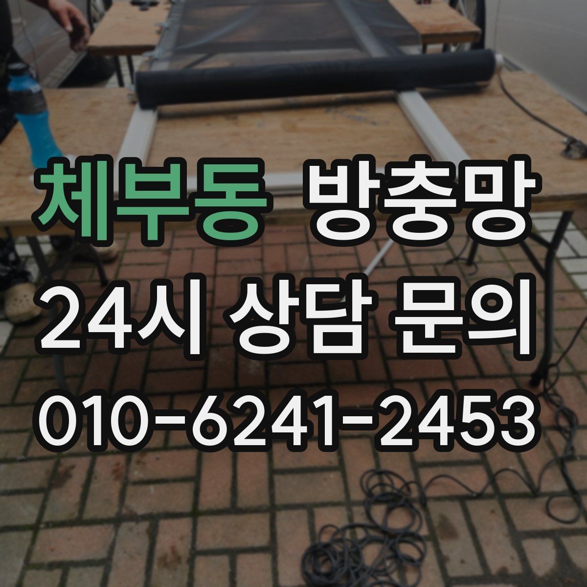 체부동 방충망 벌레 퇴치보다 차단이 먼저입니다