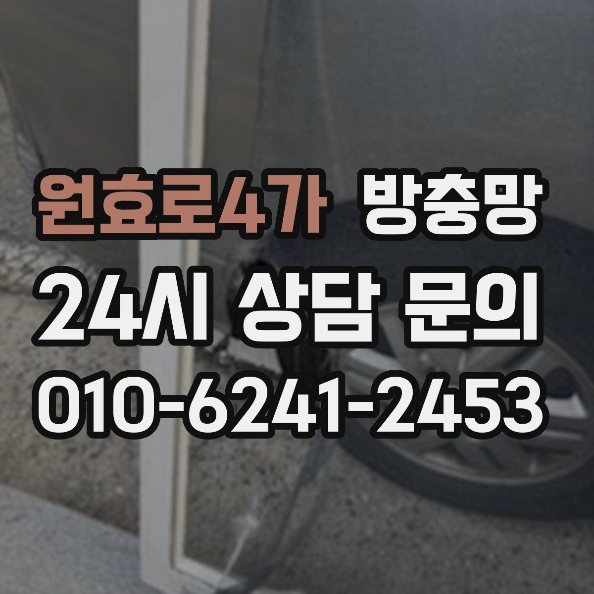 원효로4가 방충망 다용도실 창에서 벌레가 들어오는 이유