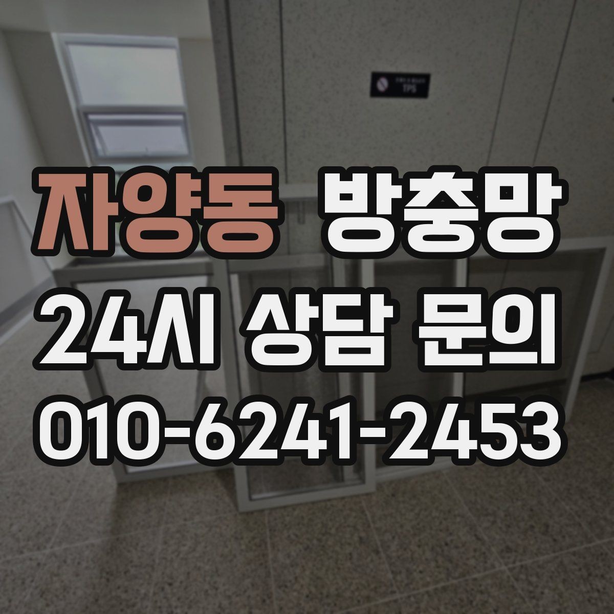 자양동 방충망 반려동물 발톱에 찢어지는 망 예방 방법