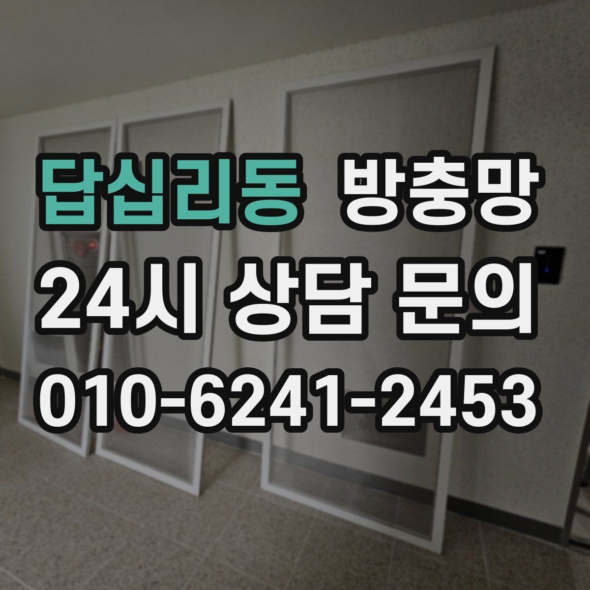 답십리동 방충망 창문을 닫았는데도 벌레가 보이면 어디가 문제일까