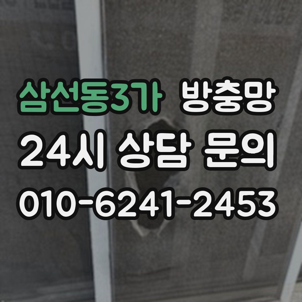 삼선동3가 방충망 창가에 벌레가 몰릴 때 점검해야 할 것