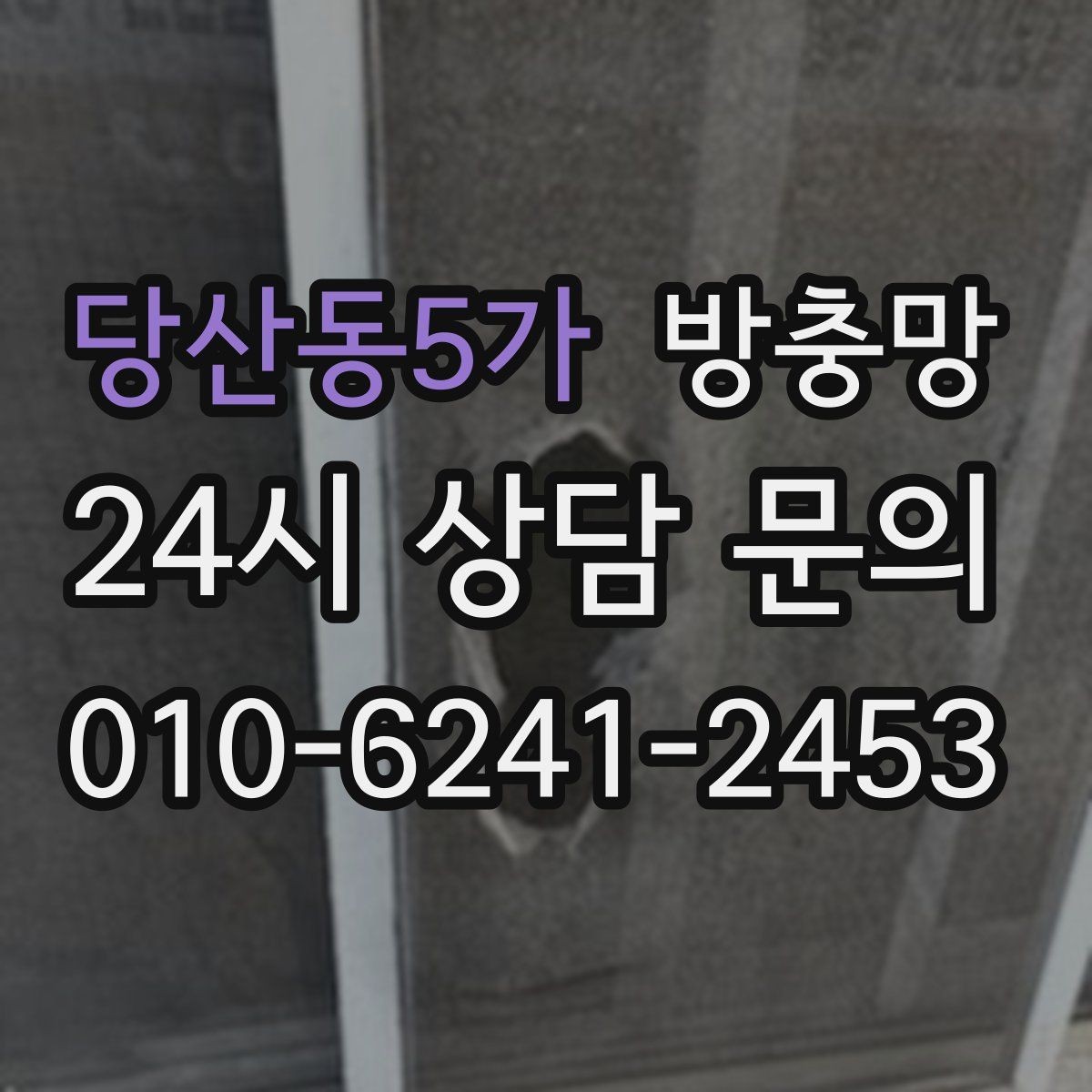 당산동5가 방충망 배수구 벌레와 창문 벌레를 함께 줄이는 방법