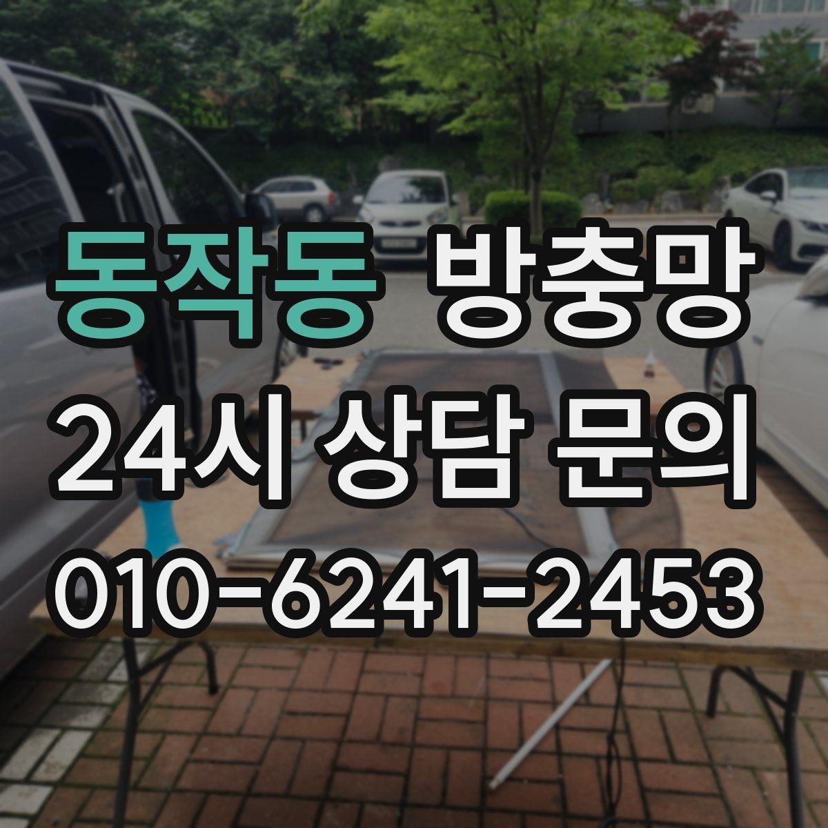 동작동 방충망 창문 주변 벌레가 많다면 외부 환경도 확인