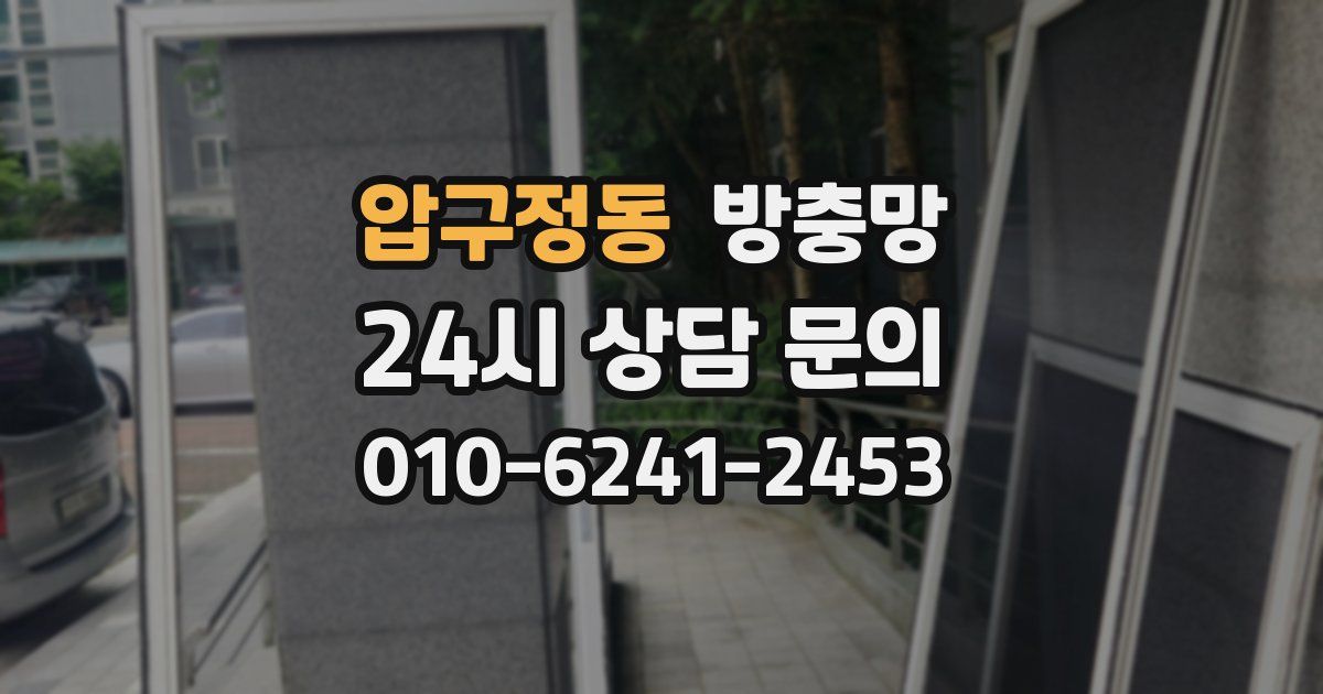 압구정동 방충망