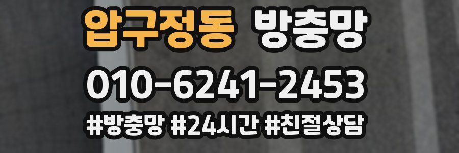 압구정동 방충망