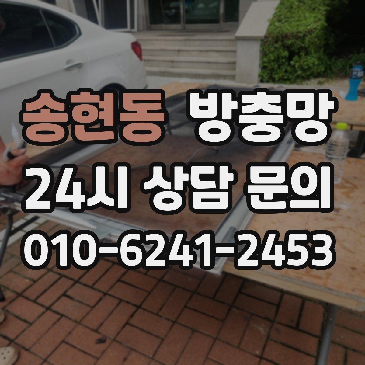 송현동 방충망 창가에 벌레가 몰릴 때 점검해야 할 것