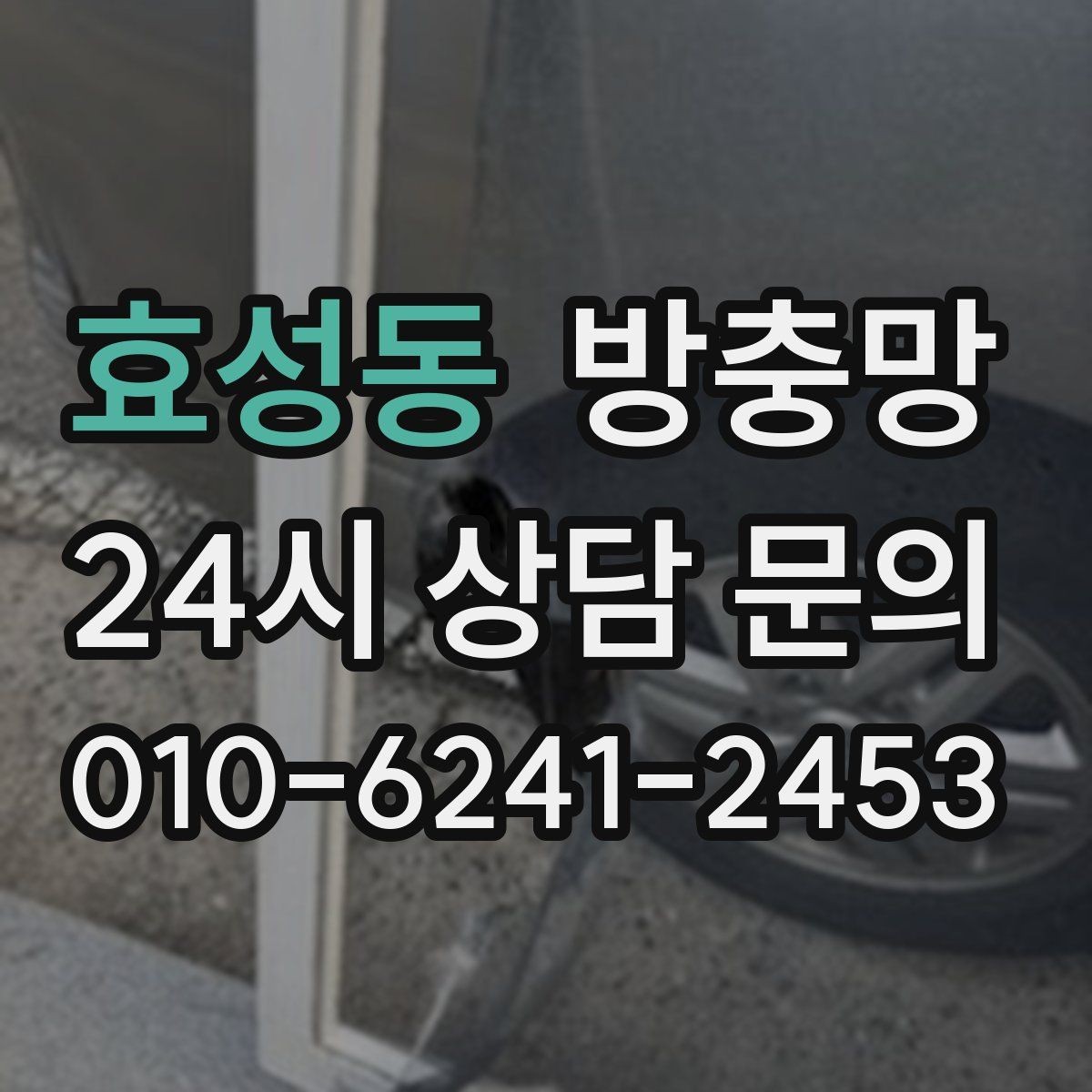 효성동 방충망 모기가 들어오는 집은 눈 크기부터 봅니다
