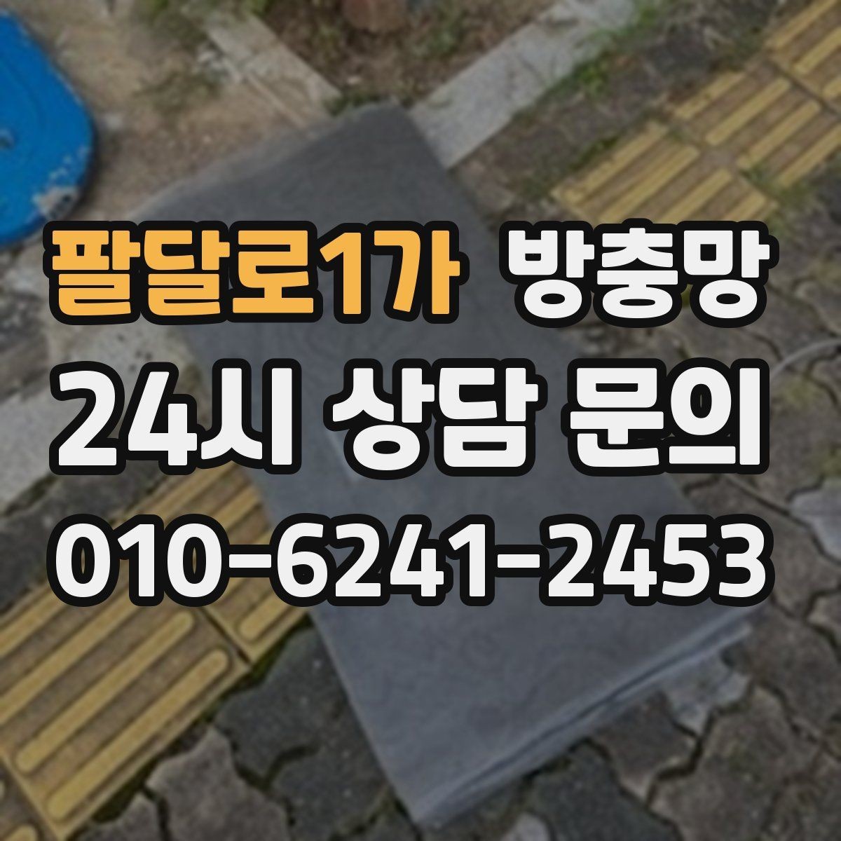 팔달로1가 방충망 촘촘망이 필요한 상황은 언제일까