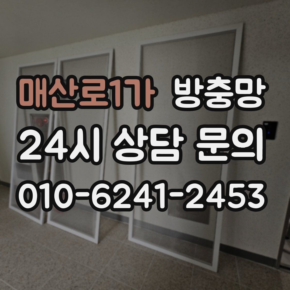 매산로1가 방충망 겨울에 방치했다가 봄에 문제 터지는 이유