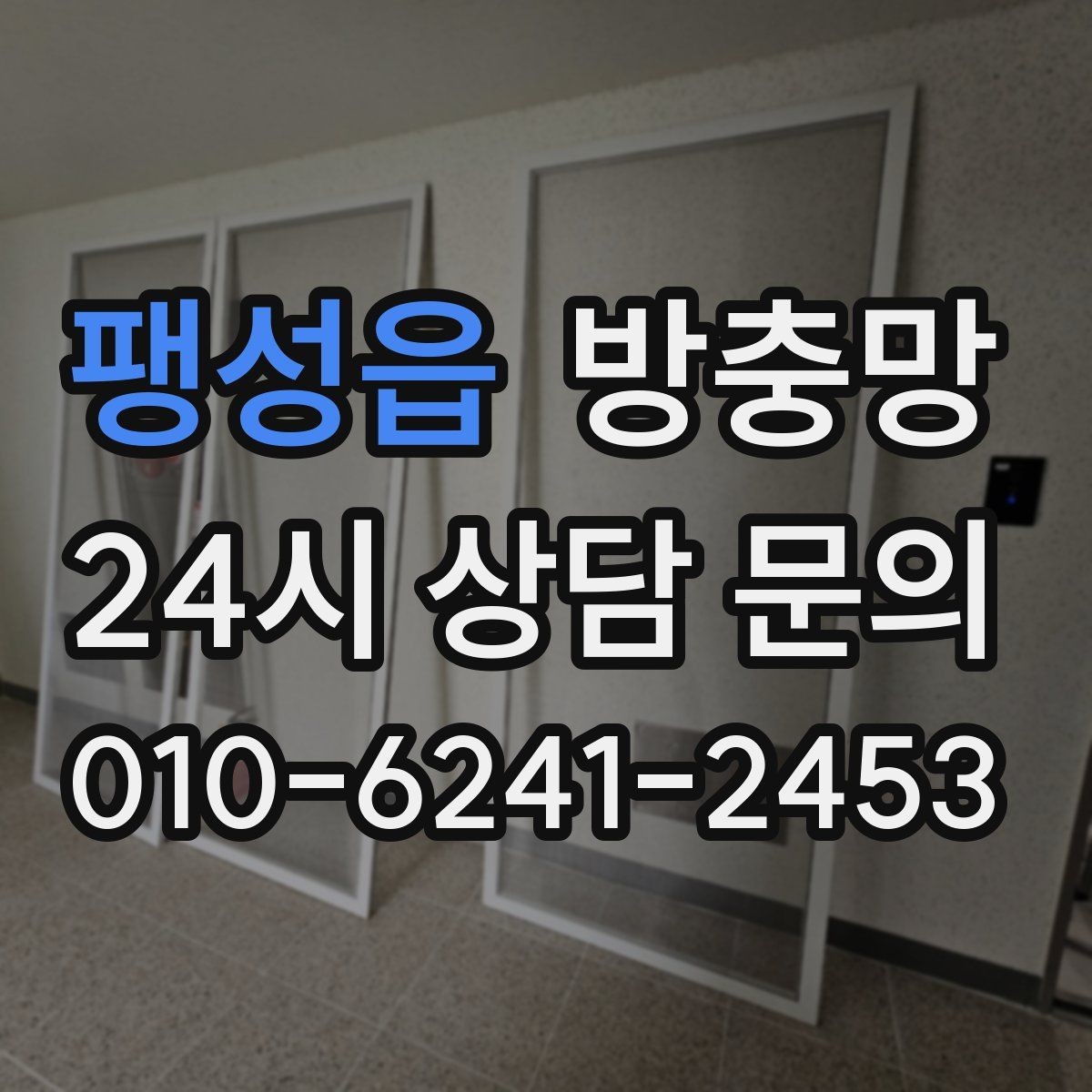 팽성읍 방충망 교체했는데 모기가 보이면 어디를 의심할까