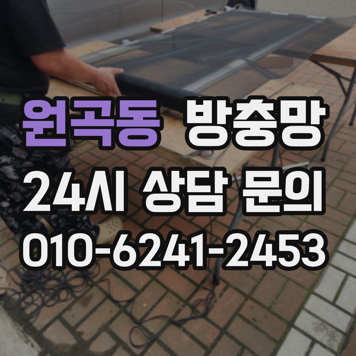 원곡동 방충망 모서리 틈으로 초파리가 들어오는 경우