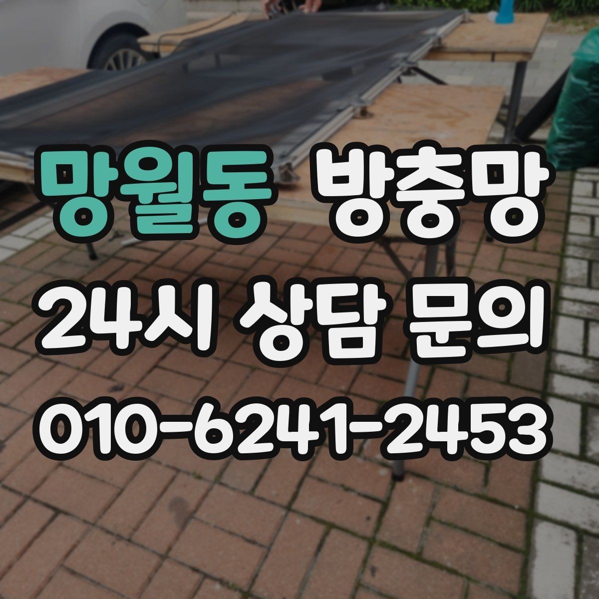 망월동 방충망 주변에 나무가 많으면 유입이 늘 수 있어요