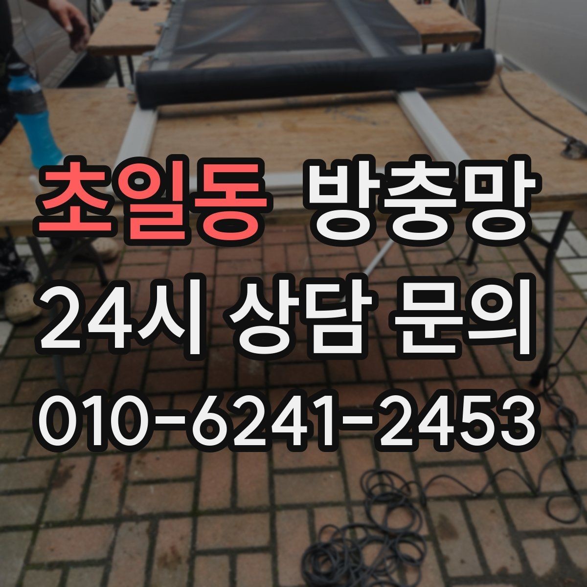 초일동 방충망 찢어진 채로 환기하면 벌레가 몰립니다