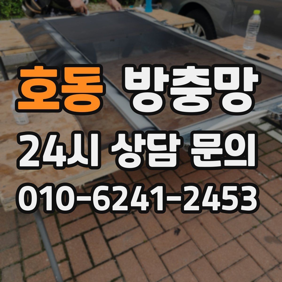 호동 방충망 냄새 빼려 환기하는데 벌레가 들어온다면