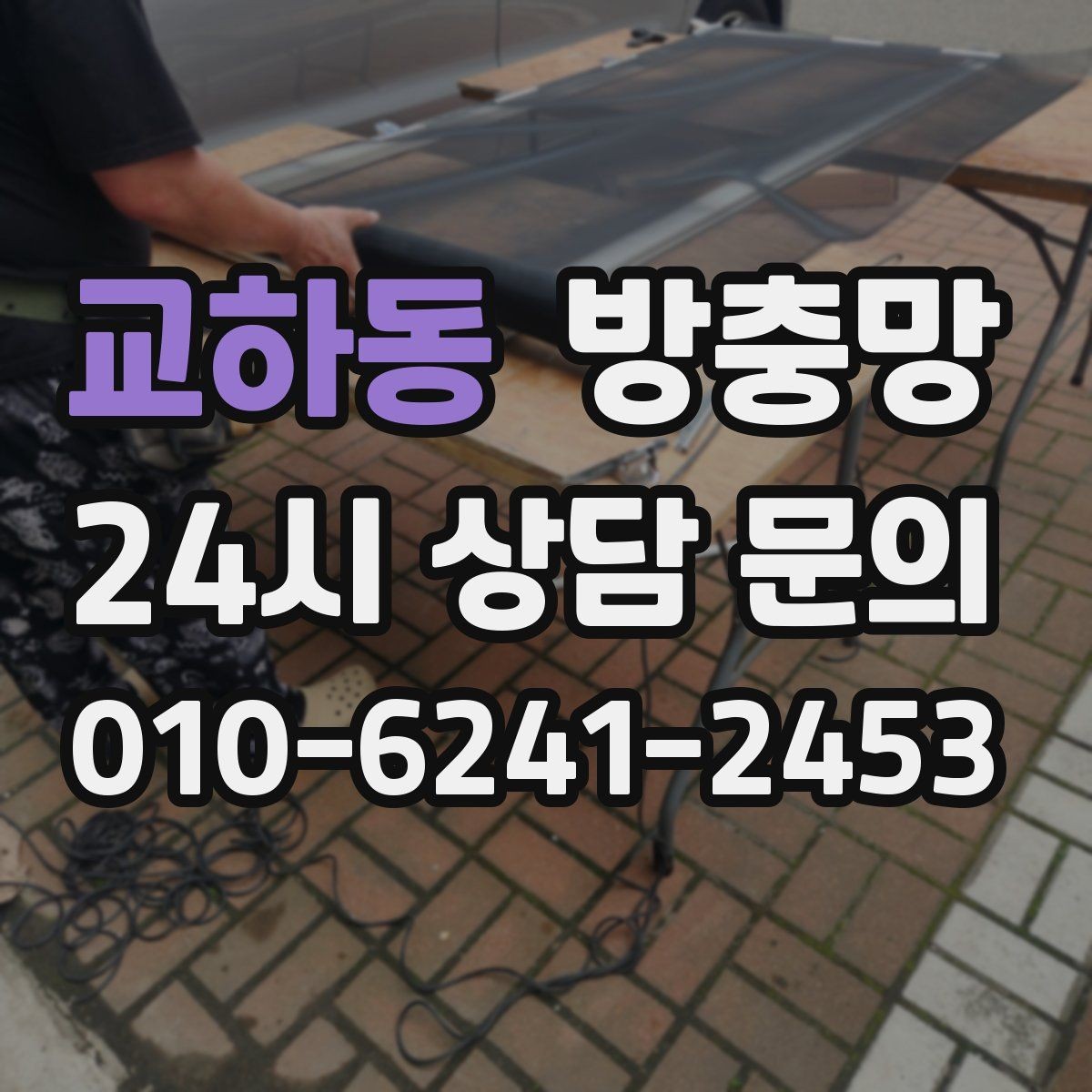 교하동 방충망 반려동물 있는 집의 방충망 관리 요령