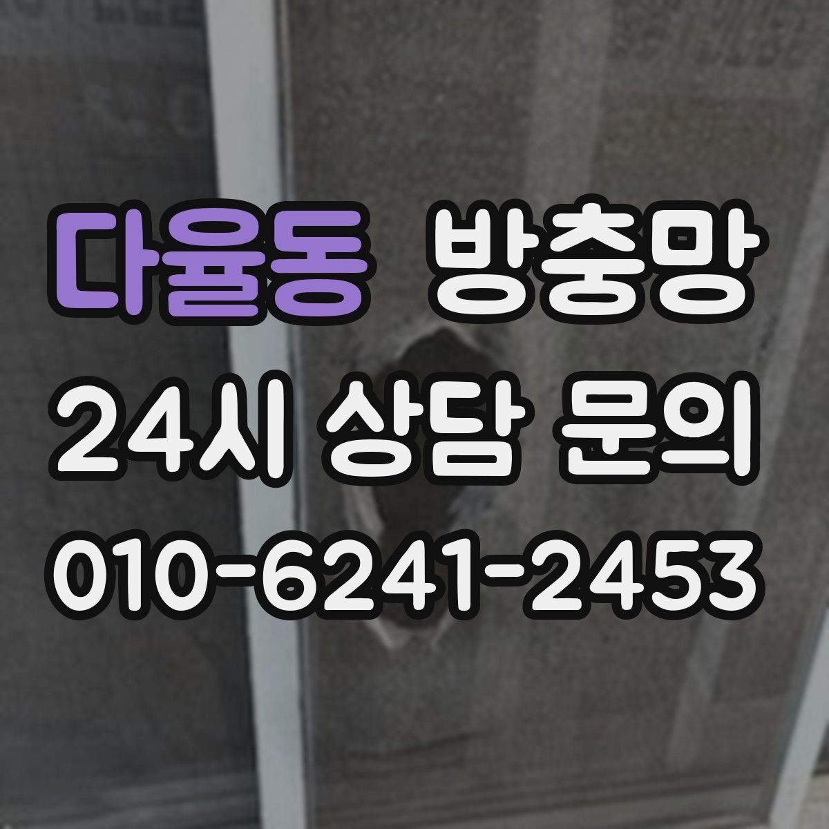다율동 방충망 욕실 창문 벌레 유입이 잦은 이유