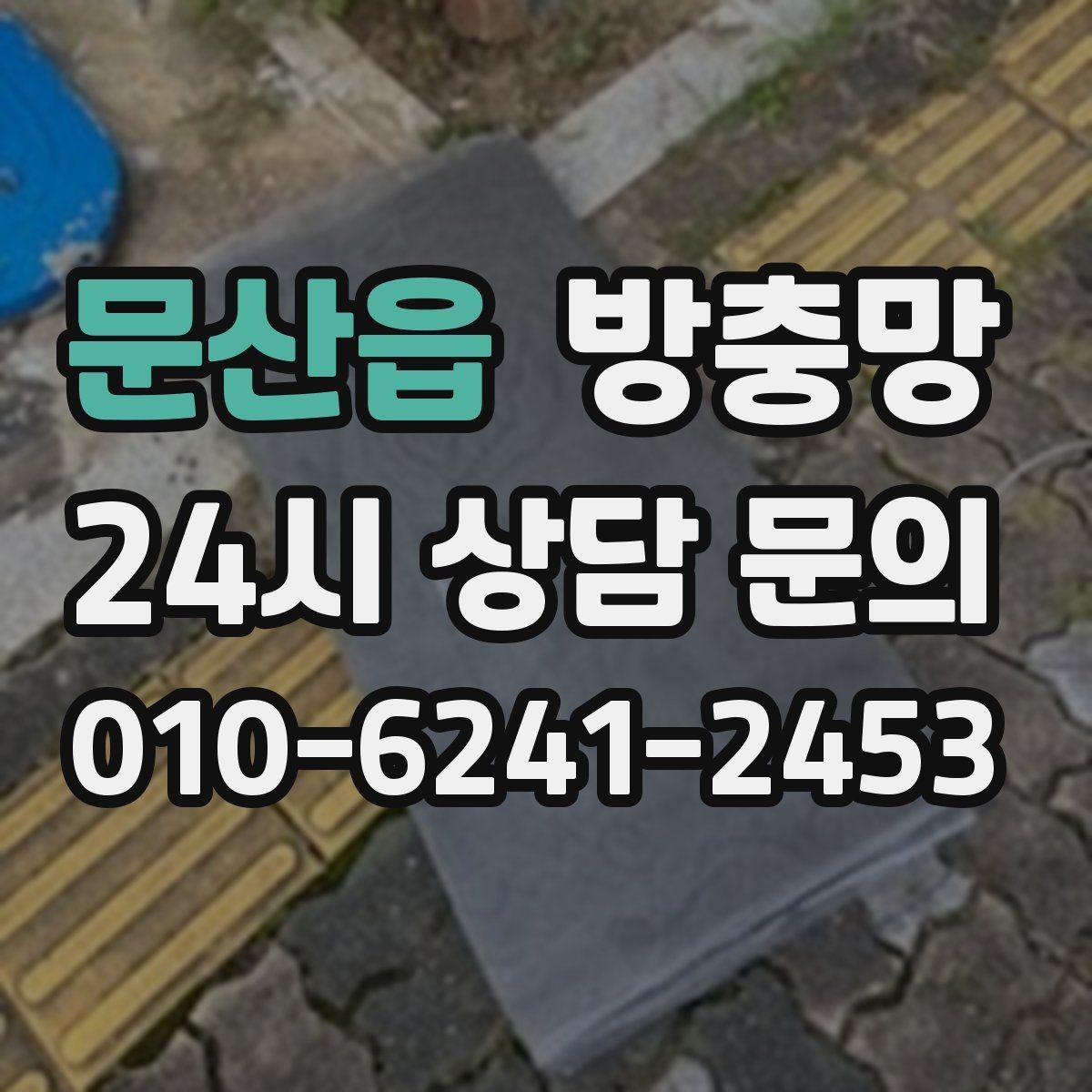 문산읍 방충망 창틀 모서리에 먼지 뭉치가 있으면 유입 통로