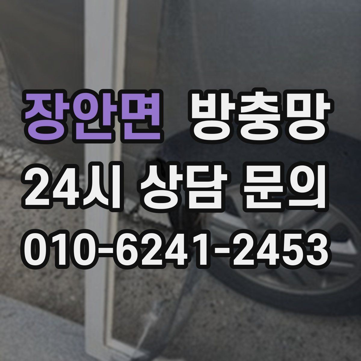 장안면 방충망 찢어진 채로 환기하면 벌레가 몰립니다