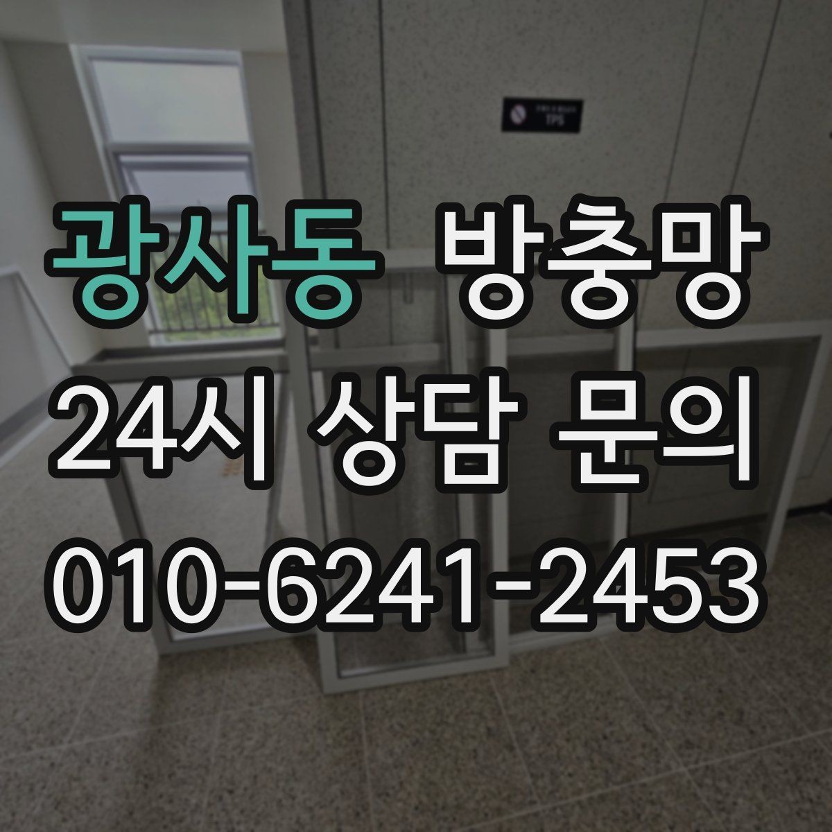 광사동 방충망 가을에도 날벌레 유입이 있는 이유