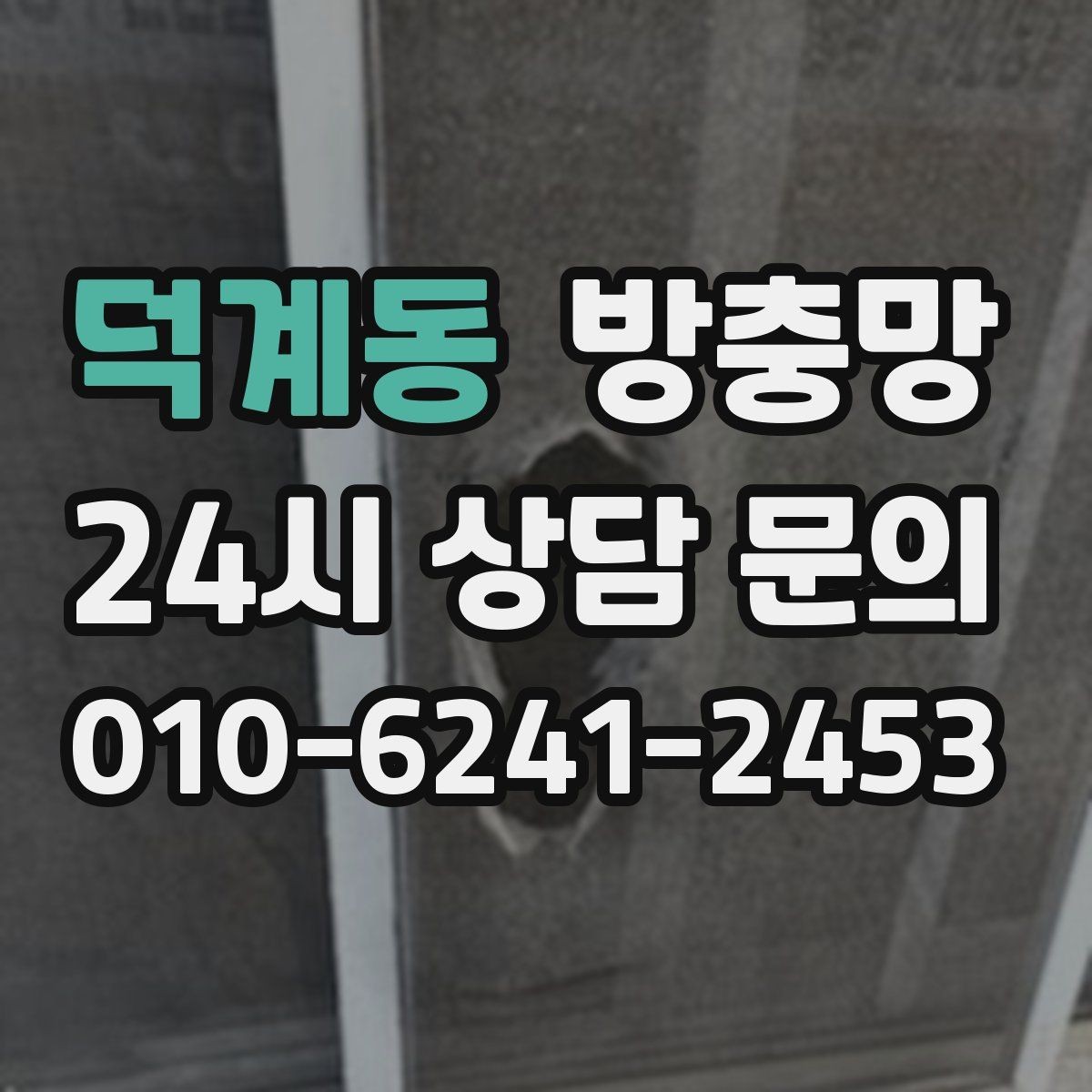 덕계동 방충망 초파리 유입이 잦은 집은 여기부터 확인