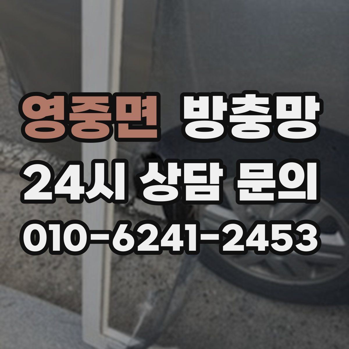 영중면 방충망 망이 뜯겨 나간 듯 보이면 즉시 점검