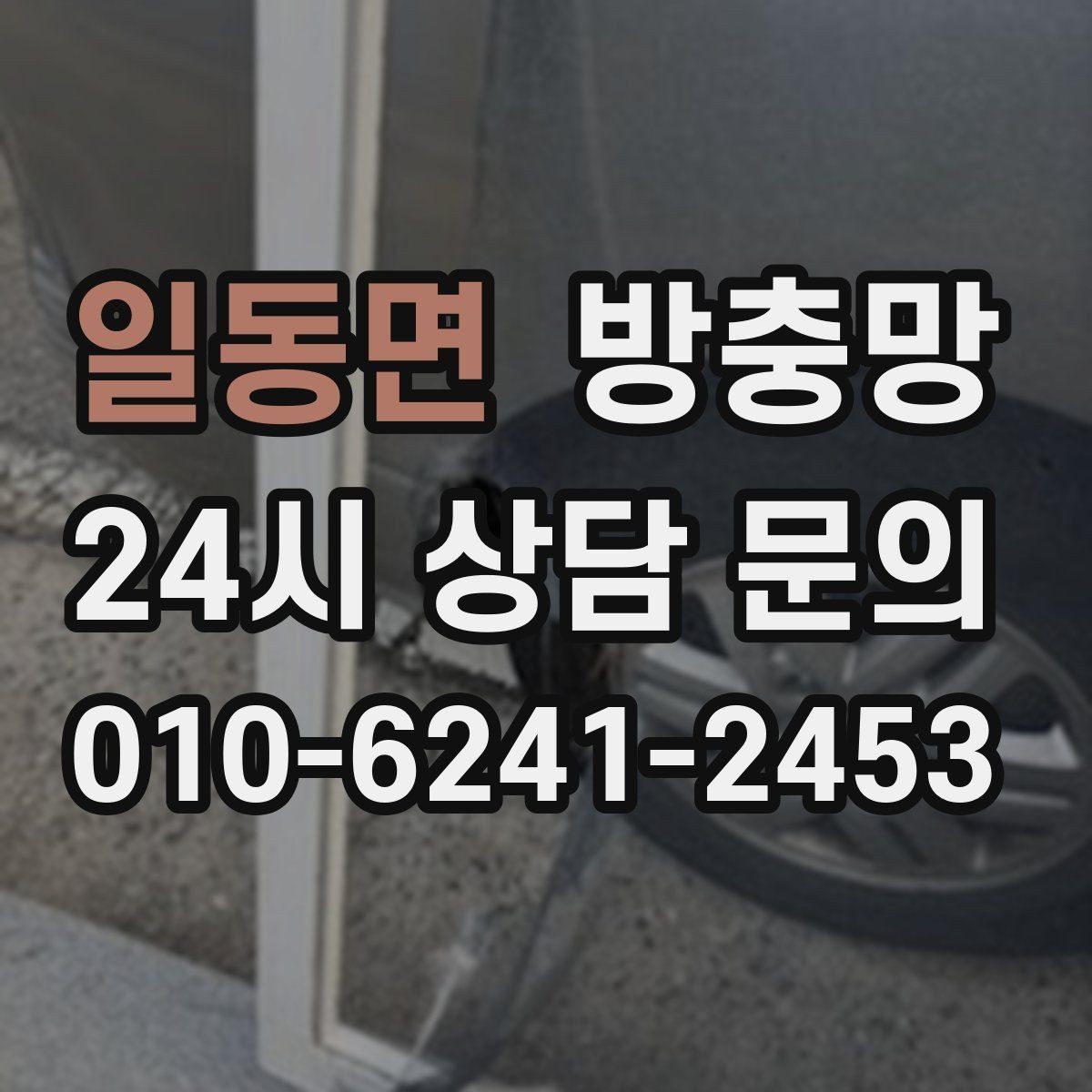 일동면 방충망 고층도 벌레 유입이 되는 이유