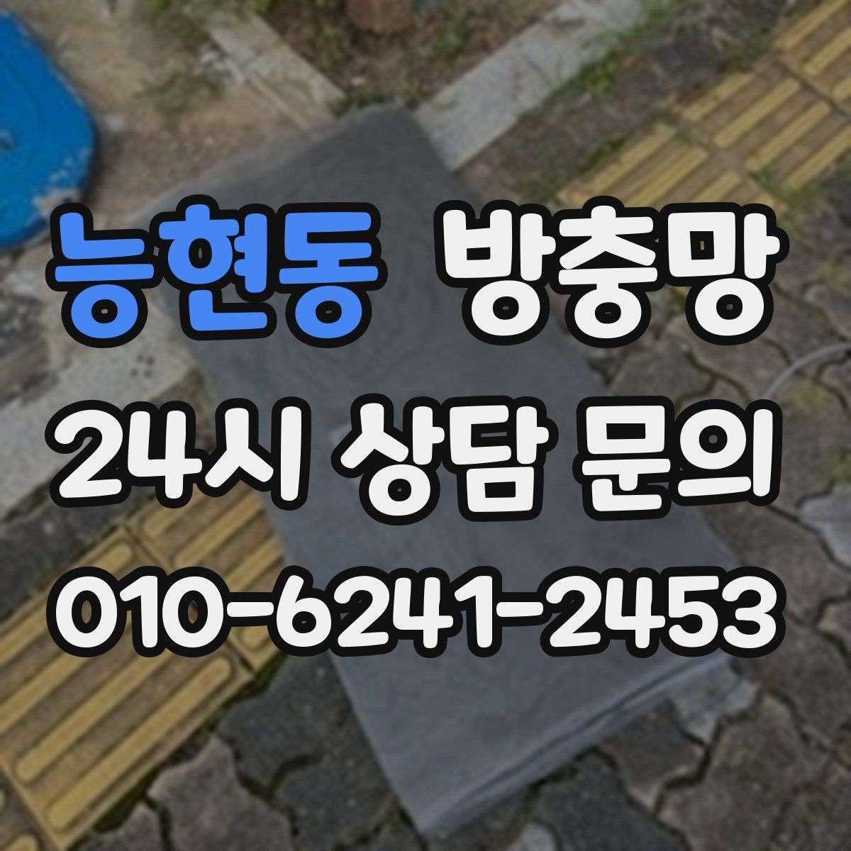 능현동 방충망 창가에 벌레가 몰릴 때 점검해야 할 것