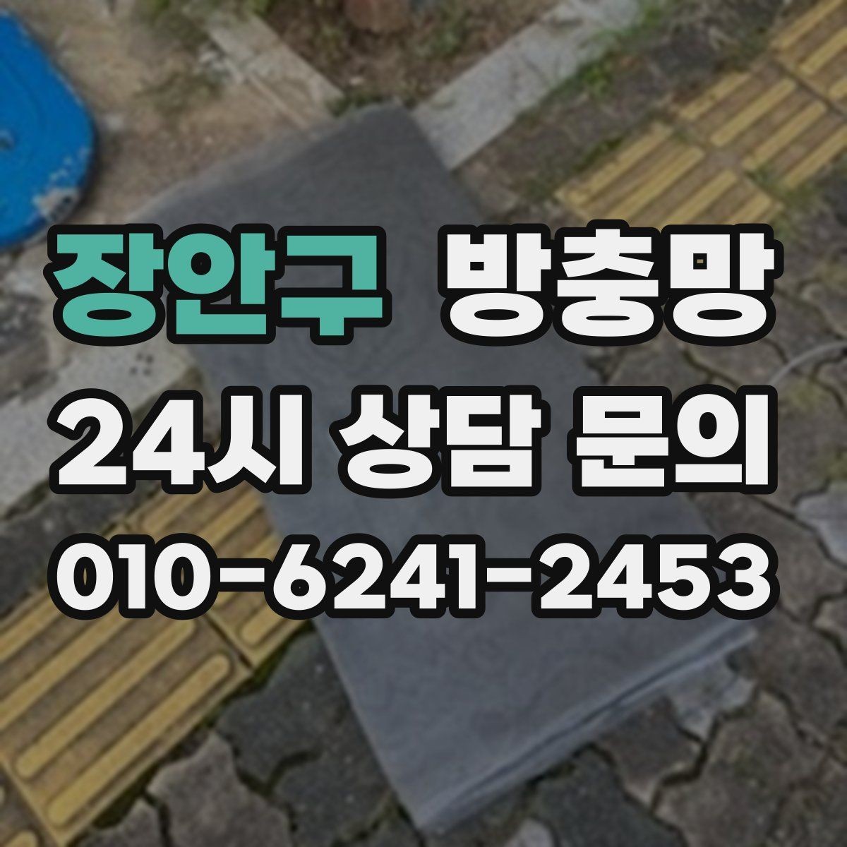 장안구 방충망 조명 켠 창문으로 벌레가 모일 때 대처