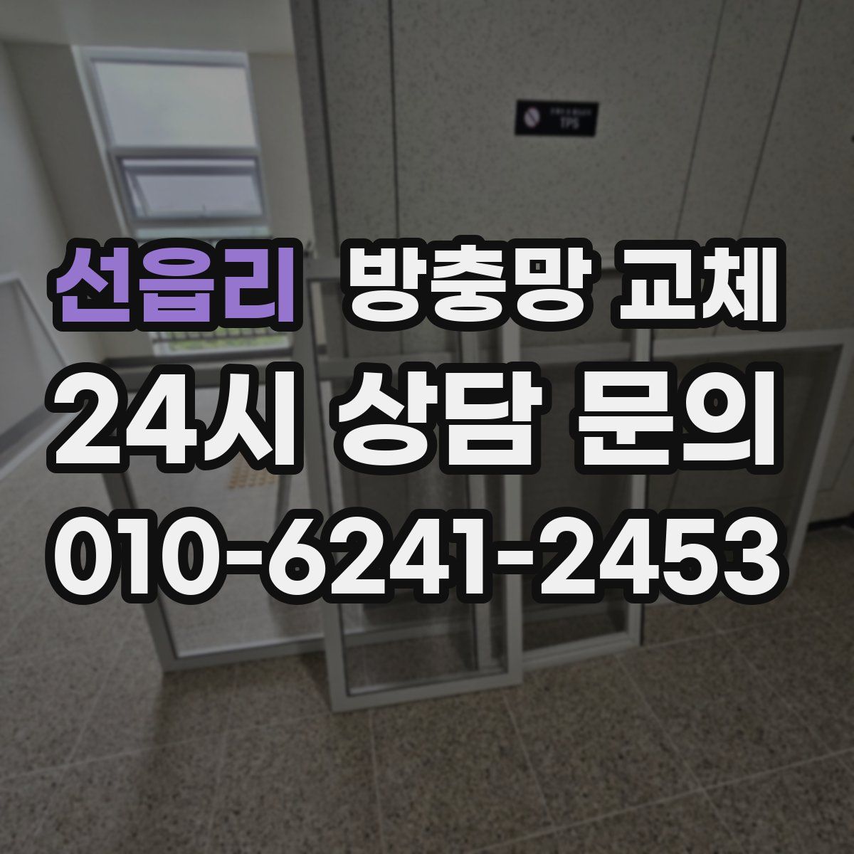 선읍리 방충망 교체