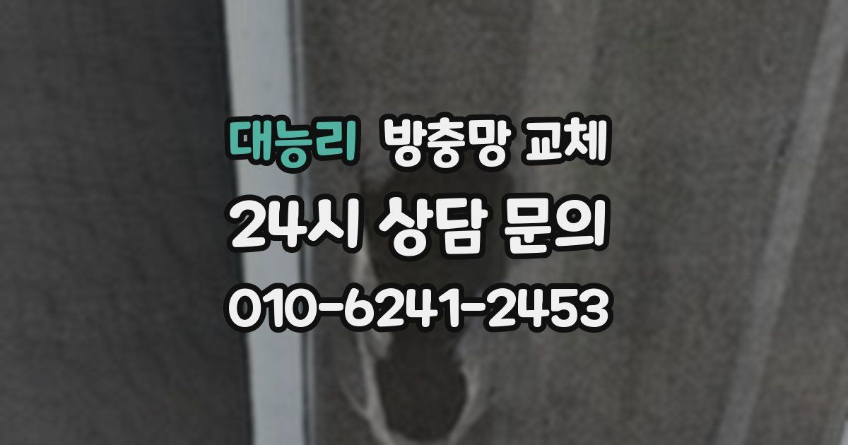 대능리 방충망 교체