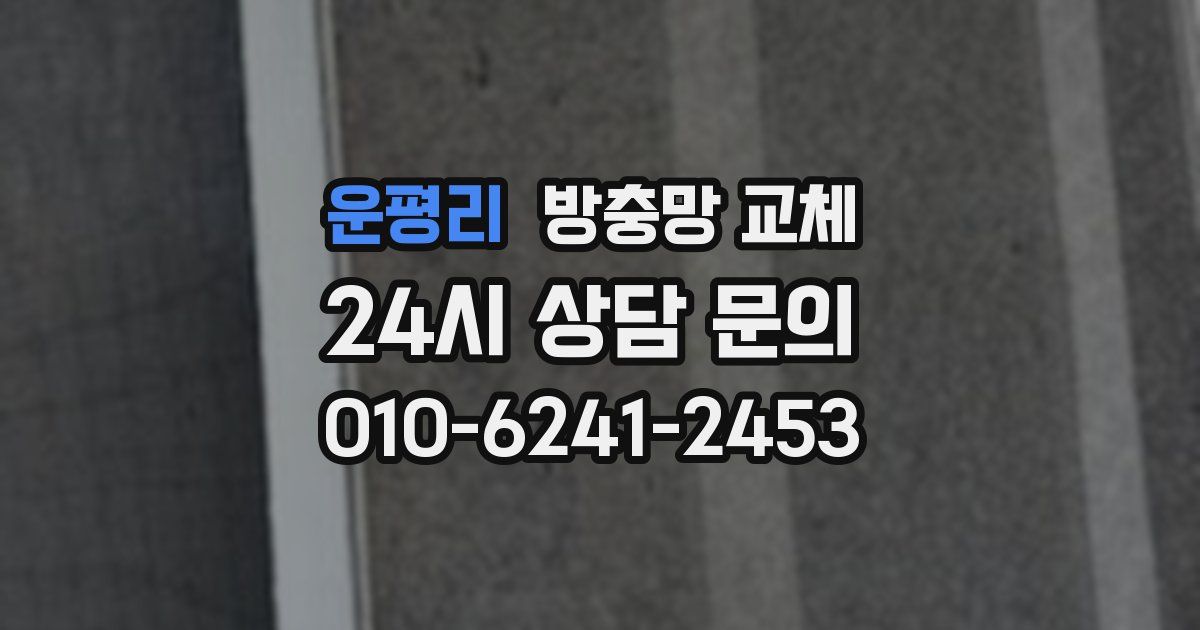 운평리 방충망 교체