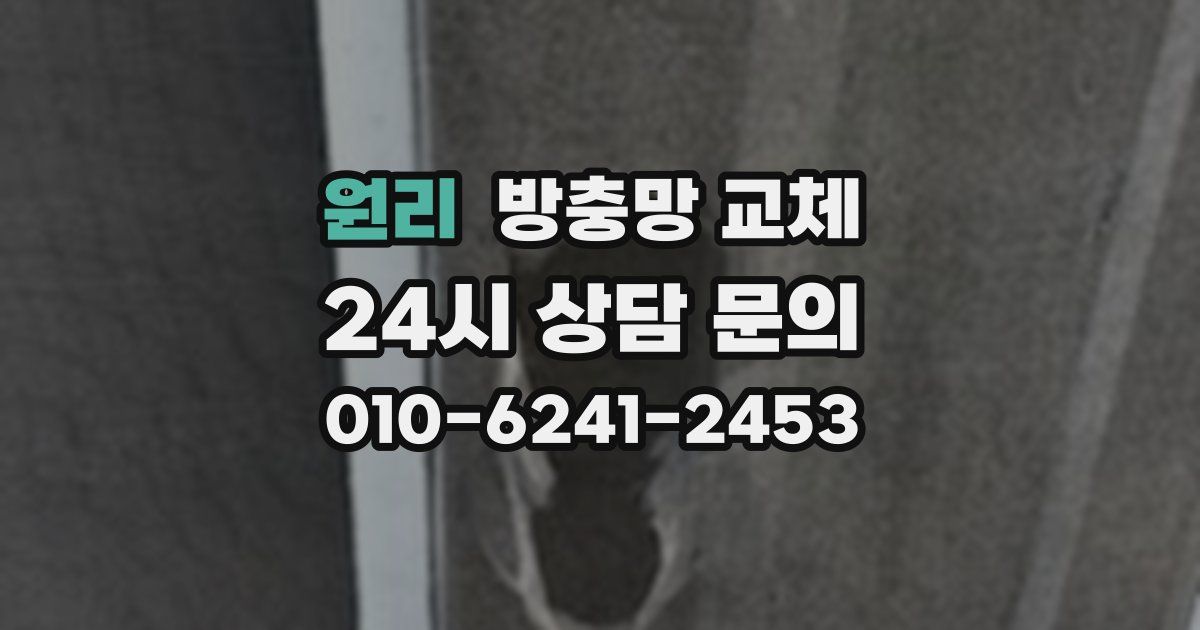 원리 방충망 교체