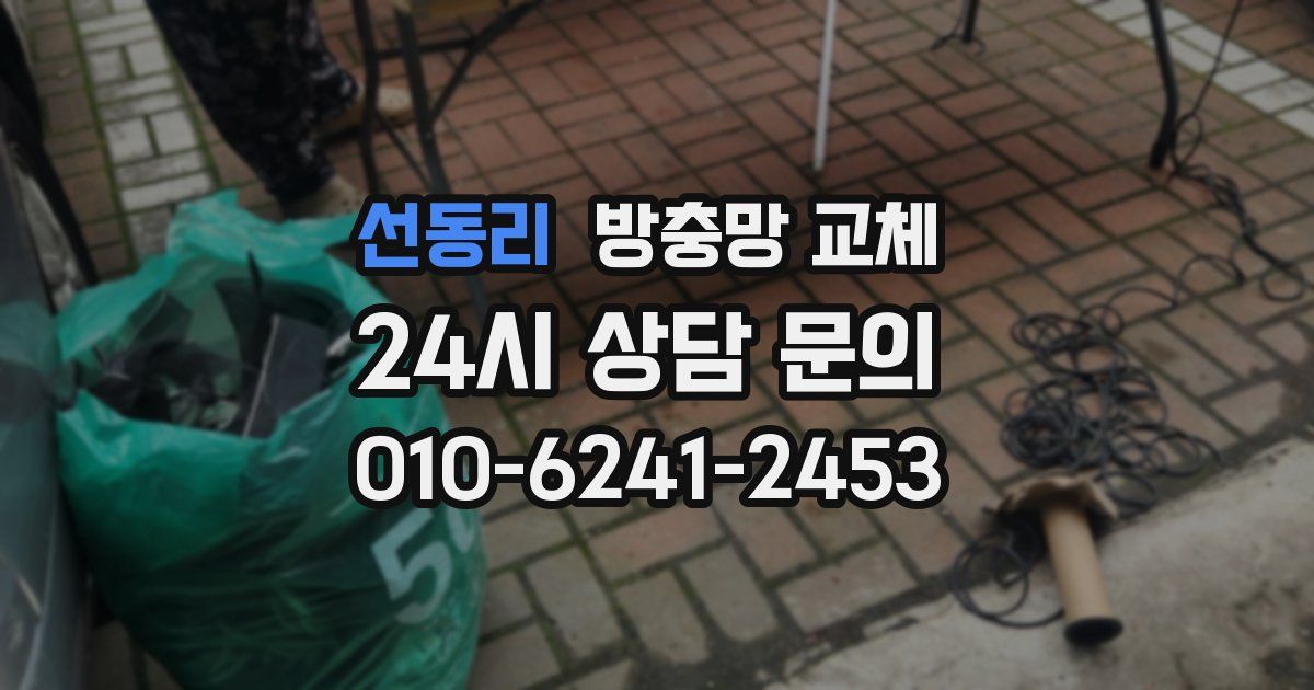 선동리 방충망 교체